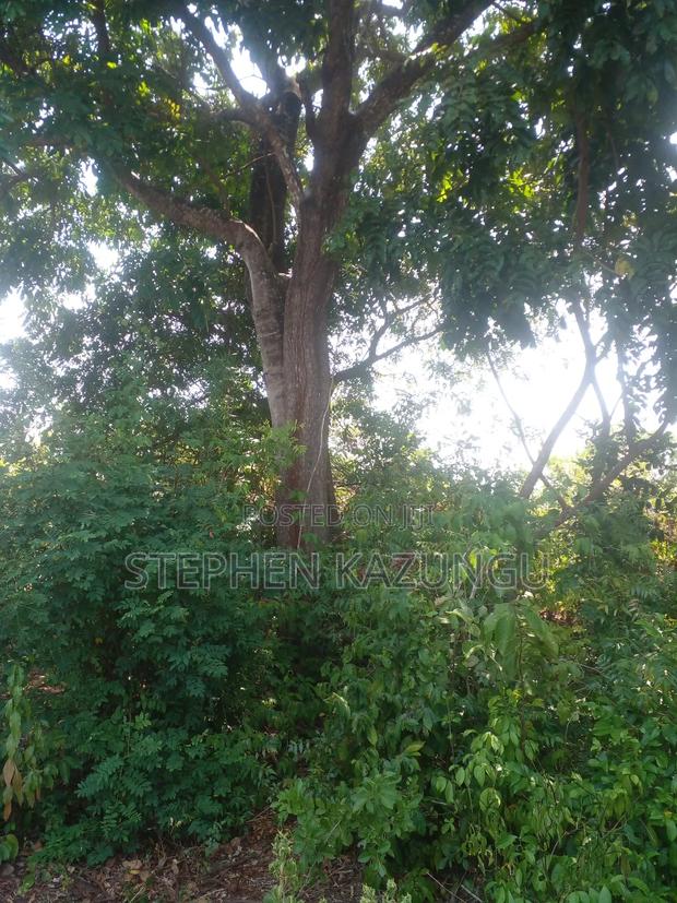 1/2 Acre Plot on Sale in Kinondo Beach Wing - thumbnail 2