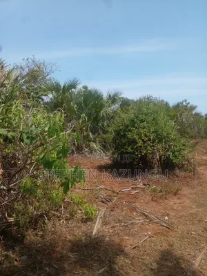 1/2 Acre Plot on Sale in Kinondo Beach Wing