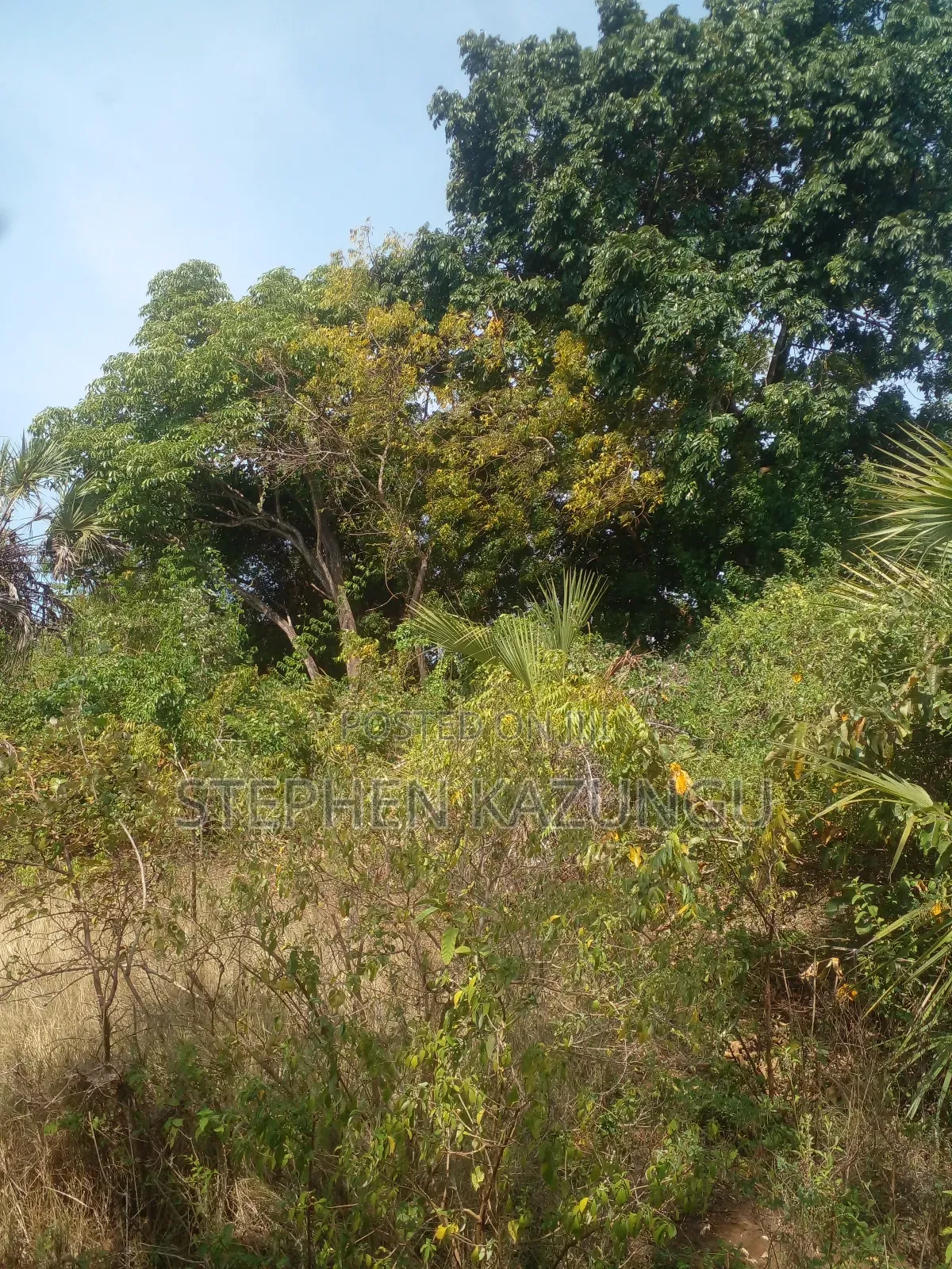 1/2 Acre Plot on Sale in Kinondo Beach Wing