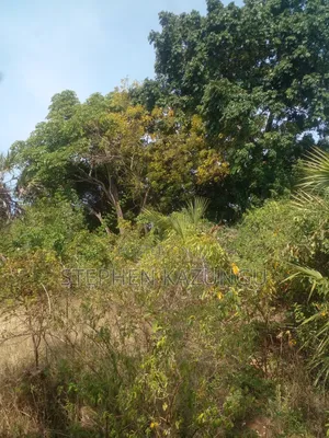 1/2 Acre Plot on Sale in Kinondo Beach Wing