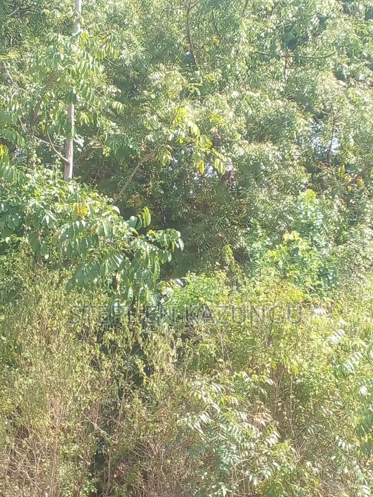 1/2 Acre Plot on Sale in Kinondo Beach Wing