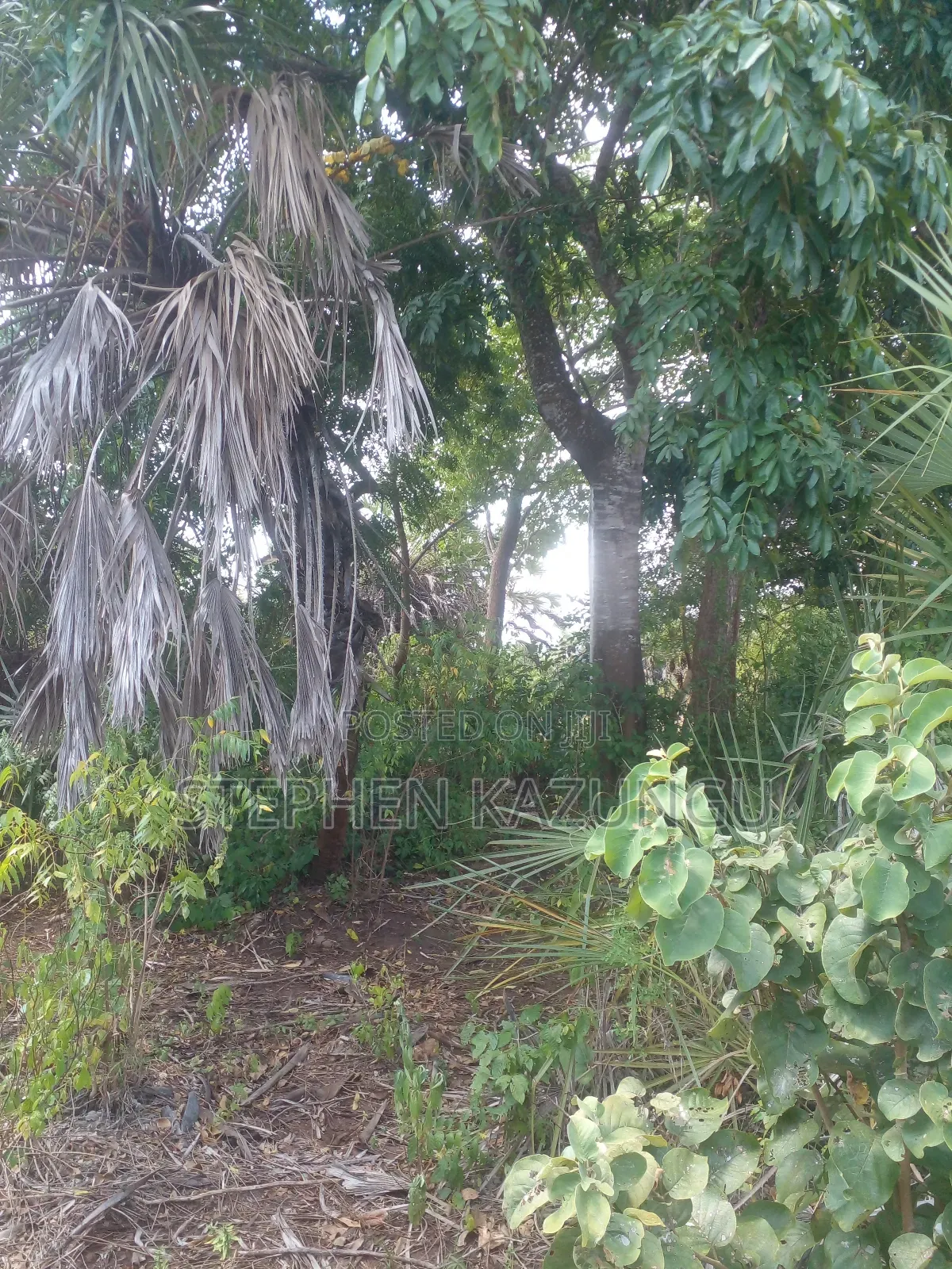 1/2 Acre Plot on Sale in Kinondo Beach Wing
