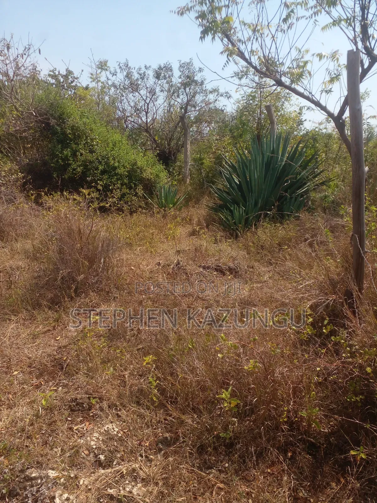 1/2 Acre Plot on Sale in Kinondo Beach Wing