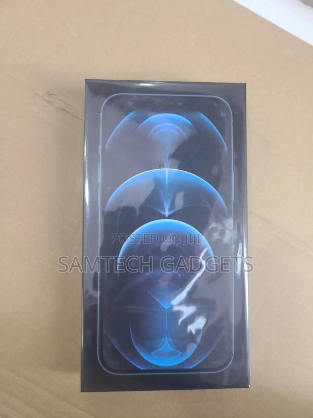 New Apple iPhone 12 Pro Max 256 GB Gold - main view