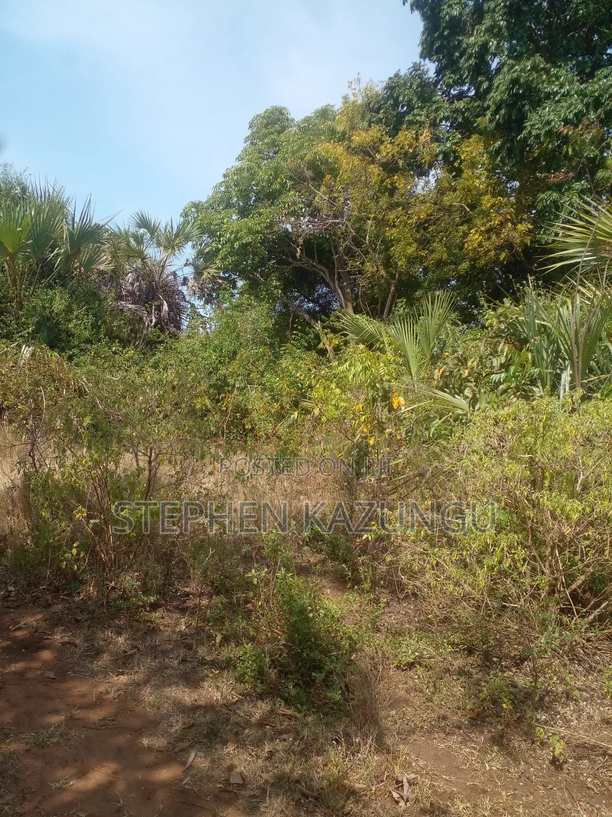 1/2 Acre Treasure Plot on Sale in Kinondo Beach Side