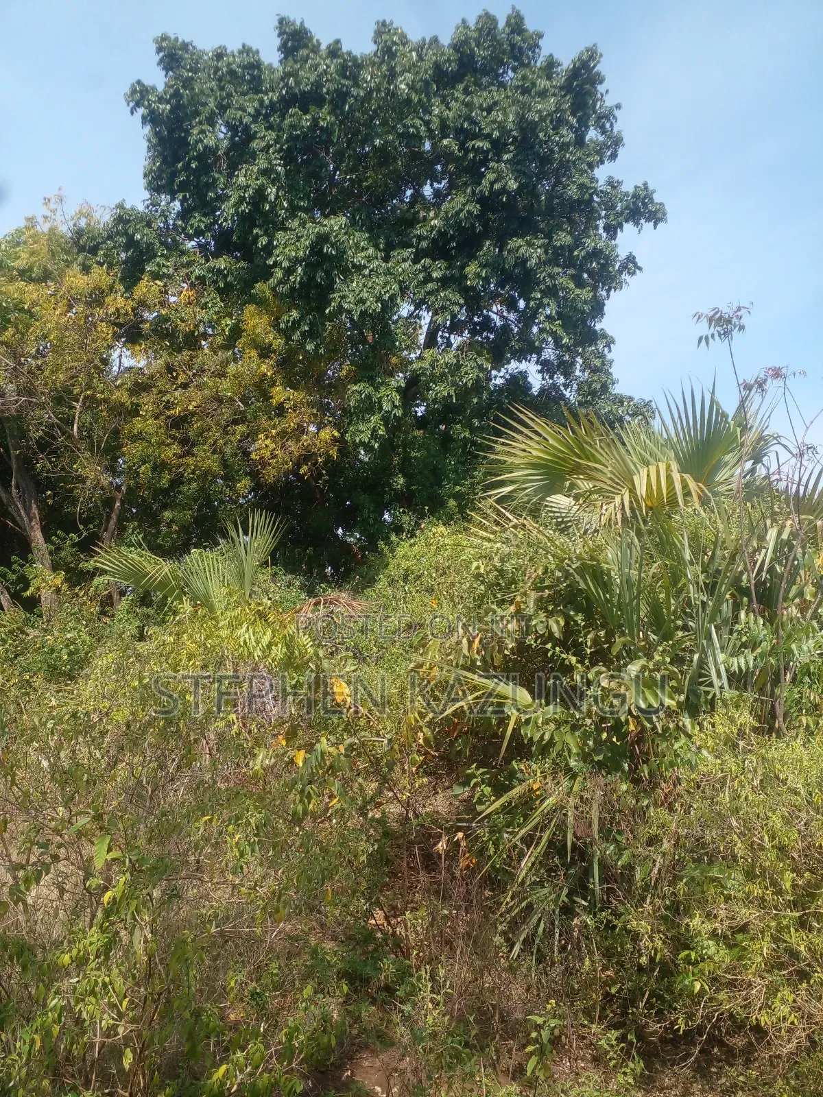 1/2 Acre Treasure Plot on Sale in Kinondo Beach Side