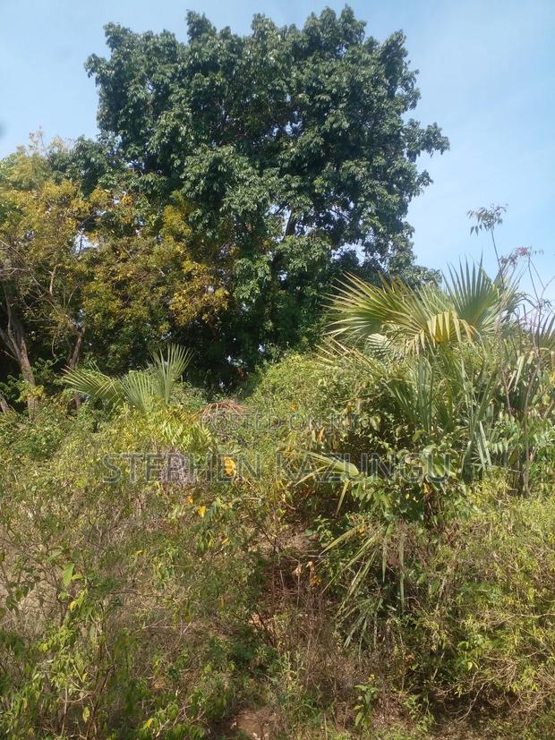1/2 Acre Treasure Plot on Sale in Kinondo Beach Side - thumbnail 5