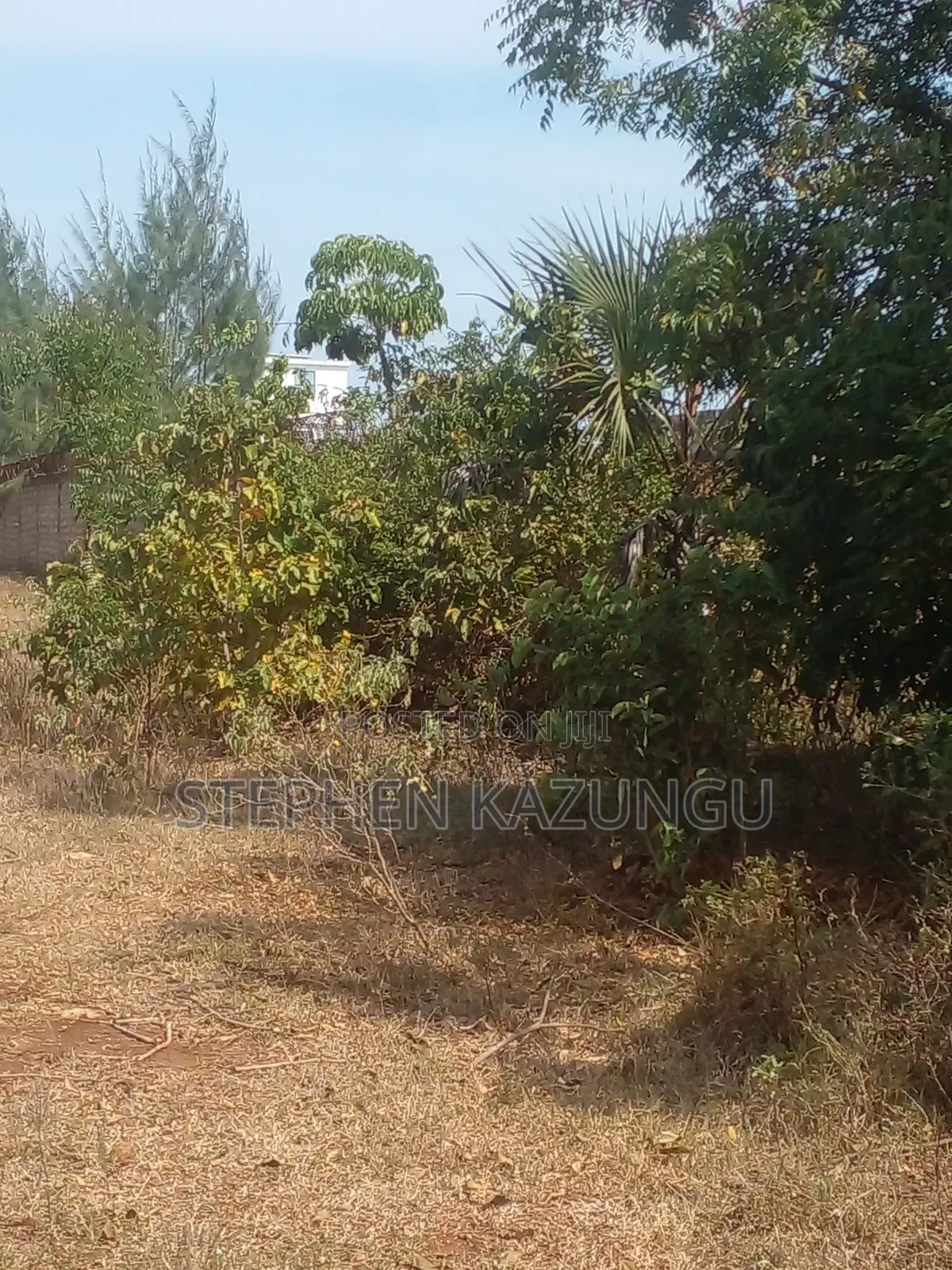 1/2 Acre Treasure Plot on Sale in Kinondo Beach Side