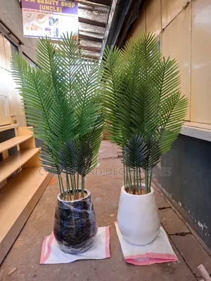 Big Glass Fibre Vases With Wide Classy Palm