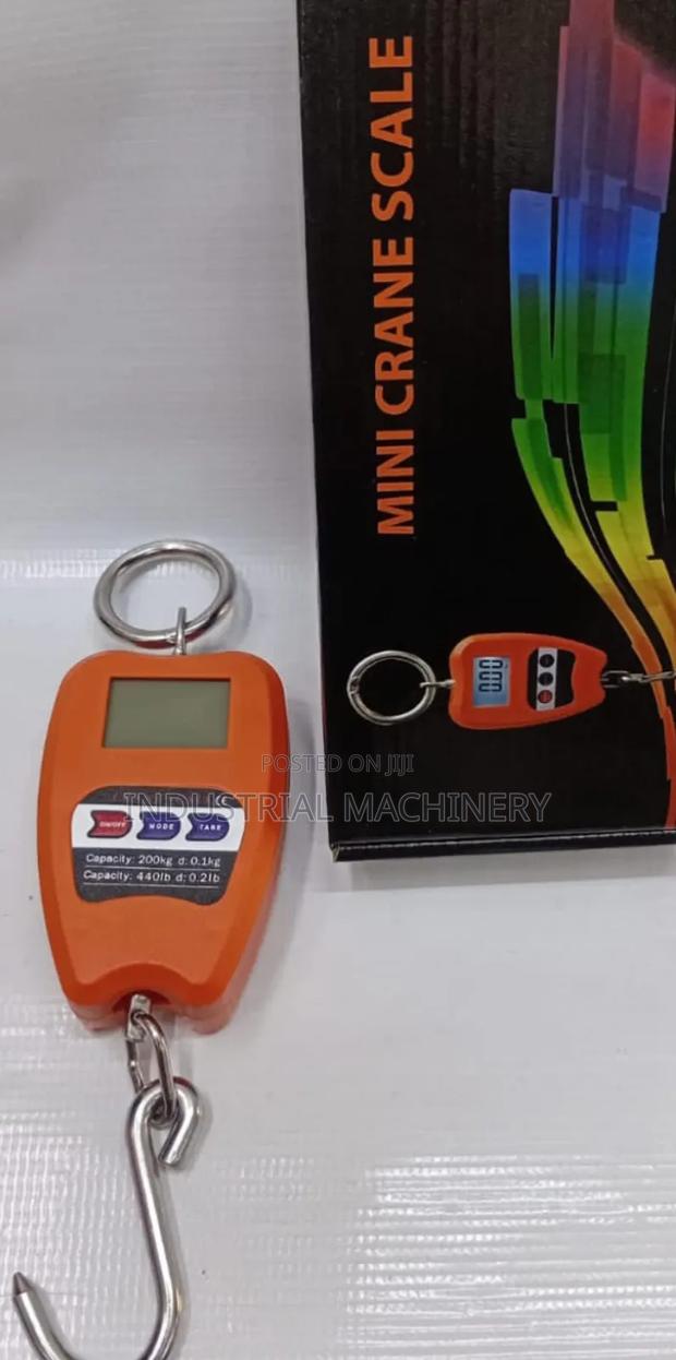 Mini Crane Scale 200kgs - main view