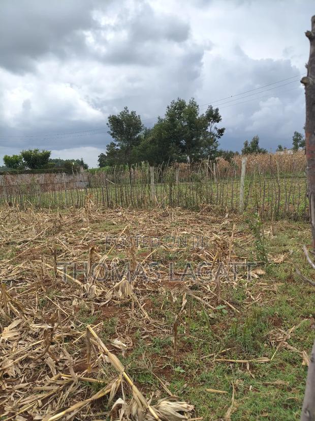 Eldoret Outspan Prime1⁄8 Acre for Residential Purposes - thumbnail 4
