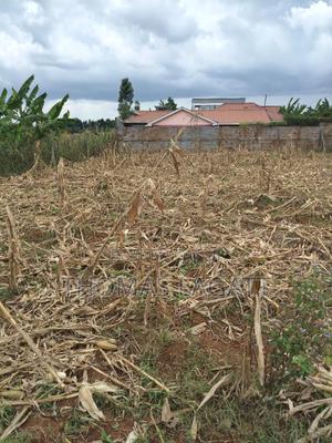 Eldoret Outspan Prime1⁄8 Acre for Residential Purposes - thumbnail 2