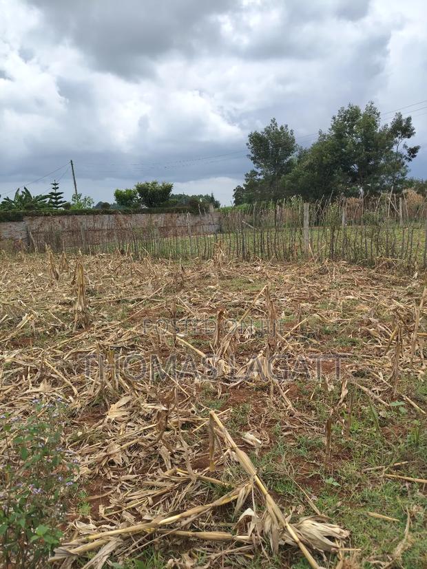 Eldoret Outspan Prime1⁄8 Acre for Residential Purposes - thumbnail 5