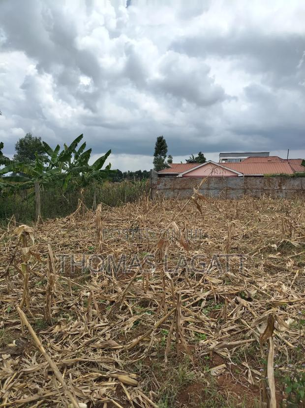 Eldoret Outspan Prime1⁄8 Acre for Residential Purposes - thumbnail 3