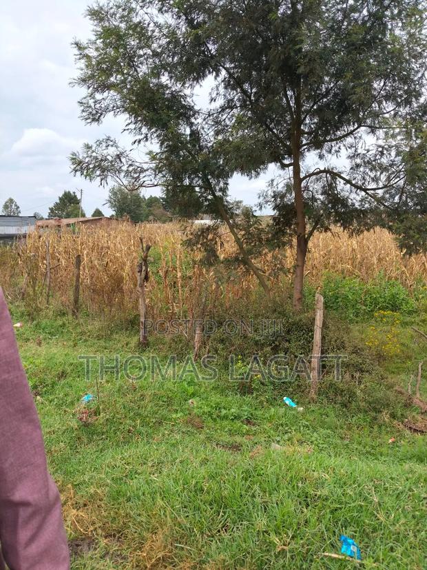 Commercial 1⁄4 Acre Plot on Sale in Eldoret Facing the Highway T - thumbnail 8