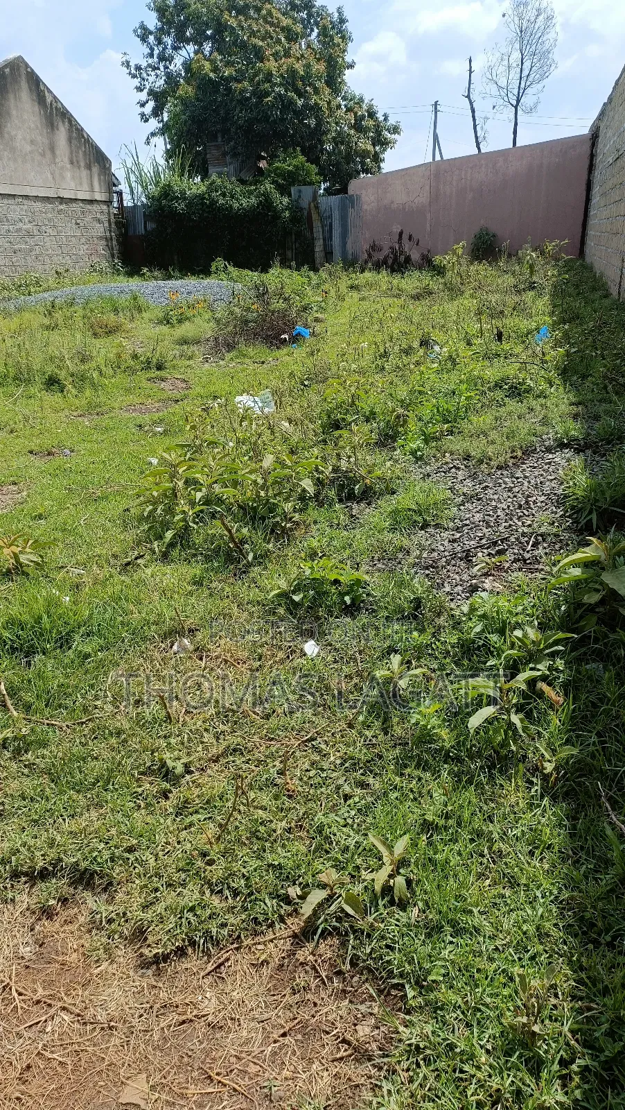 Eldoret Annex Opposite Shell Petrol Station.