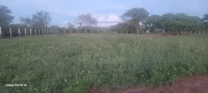 Best Plots in Matuu