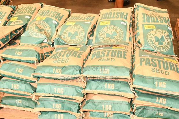 Boma Rhodes Grass (Pasture Seed) - main view