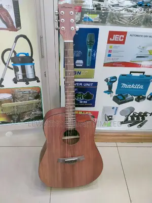 Ibanez Semi Acoustic Guitar