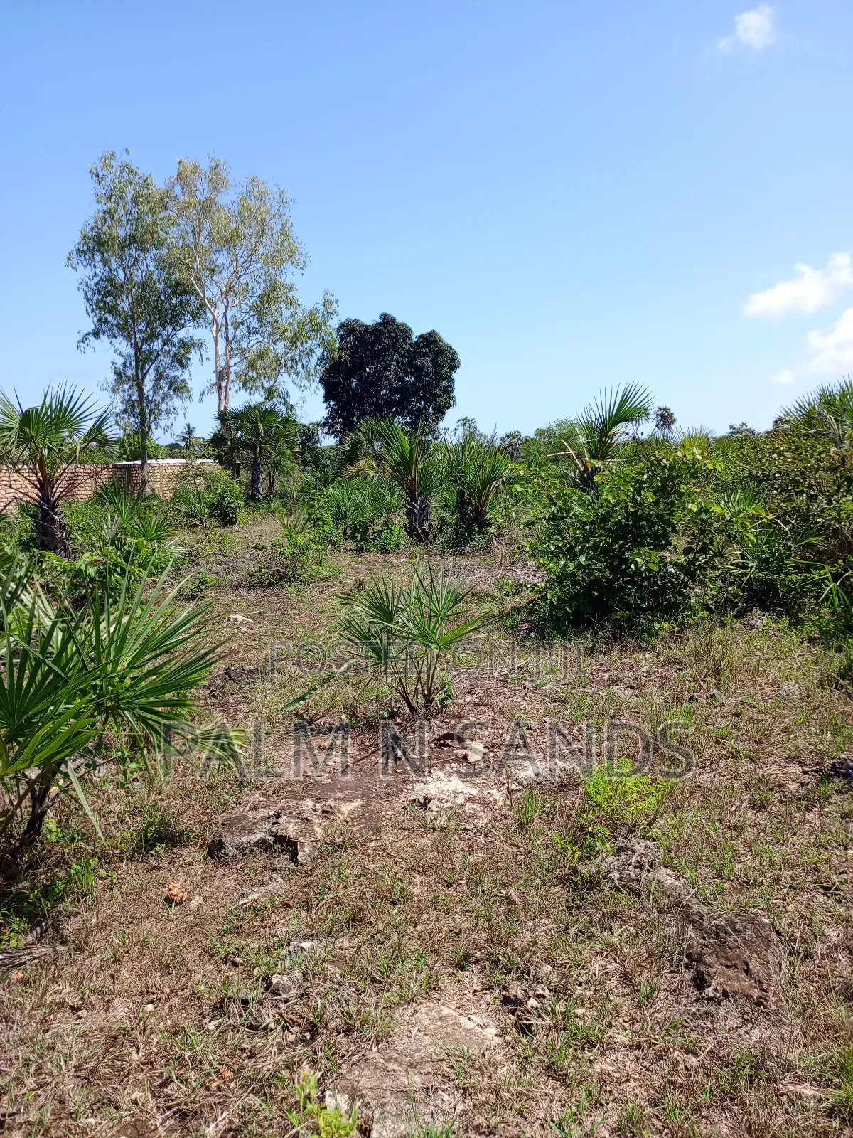 3 Acres in Galu Diani on Sale