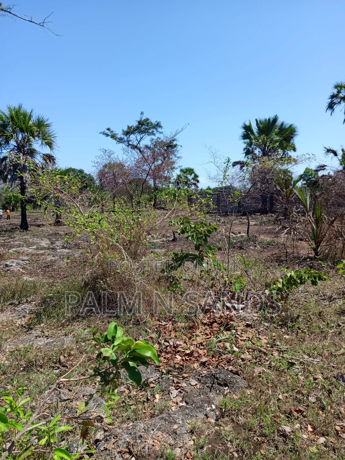 3 Acres in Galu Diani on Sale