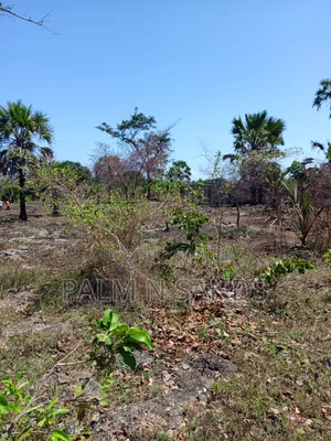 3 Acres in Galu Diani on Sale