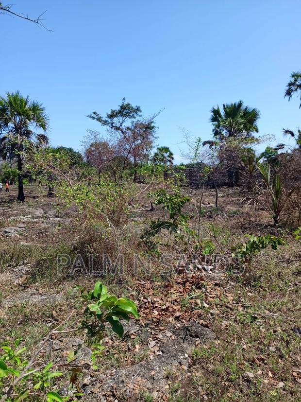 3 Acres in Galu Diani on Sale - thumbnail 6