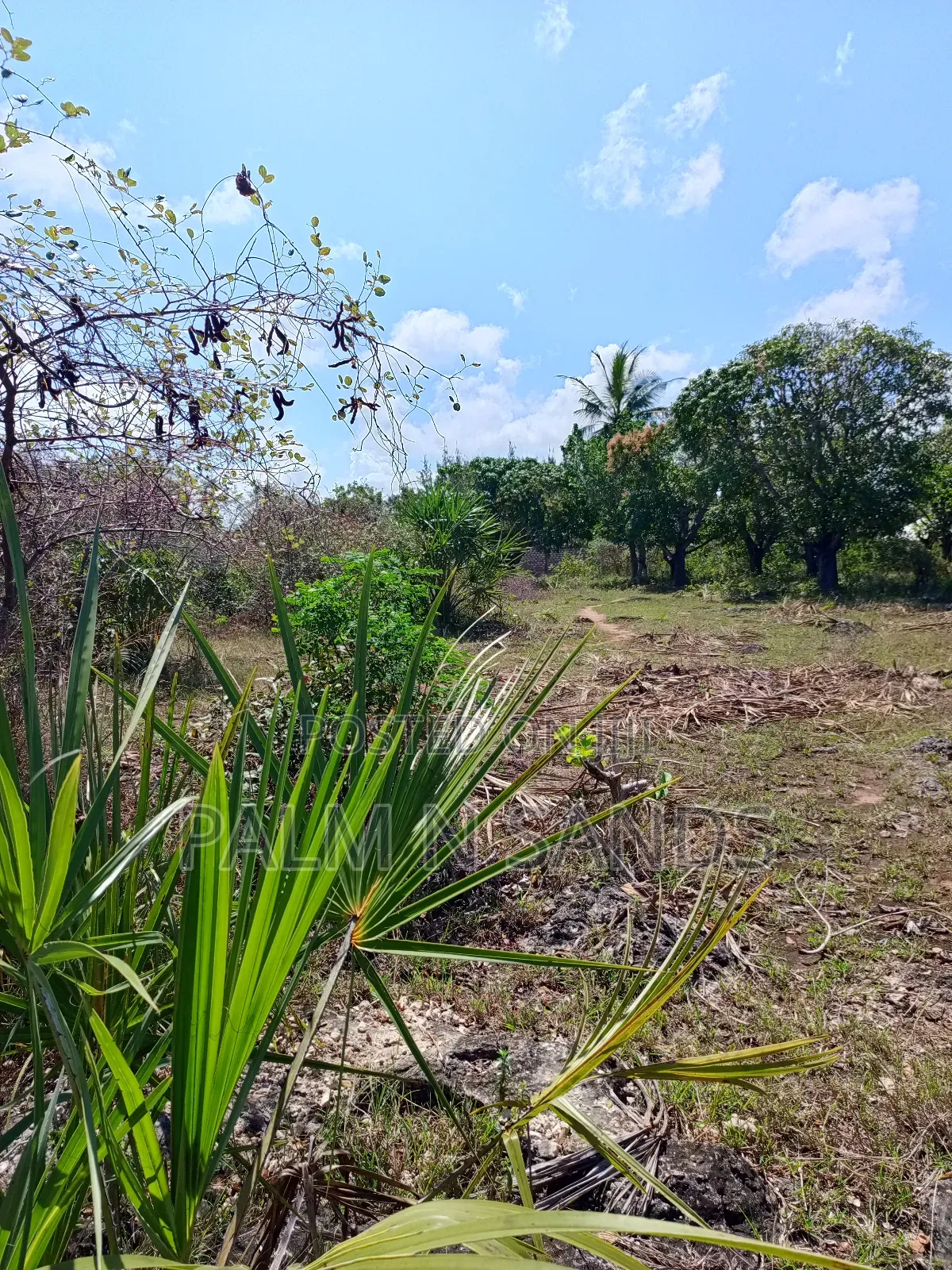 3 Acres in Galu Diani on Sale
