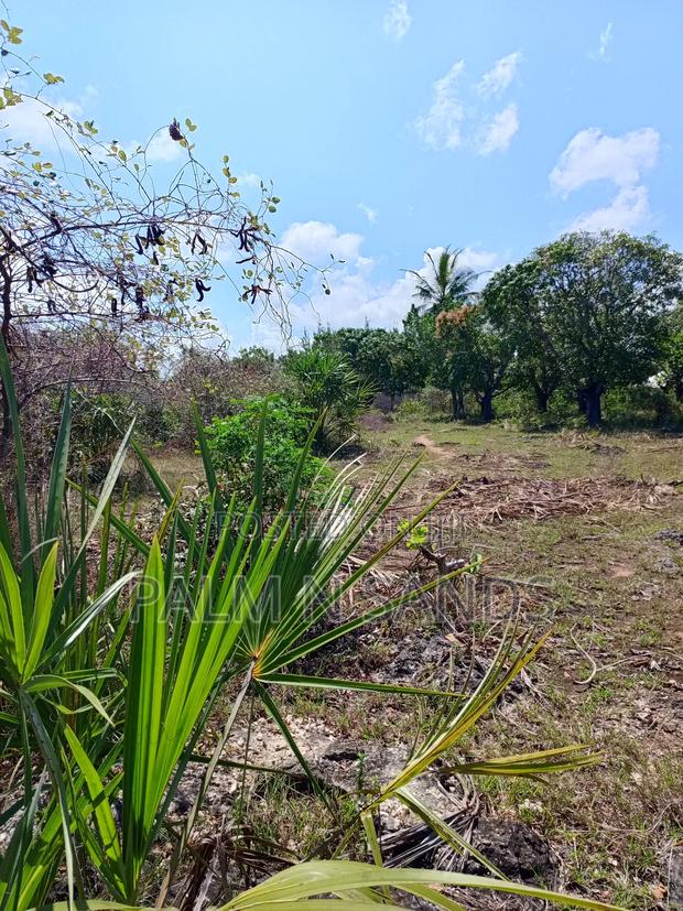 3 Acres in Galu Diani on Sale - thumbnail 7