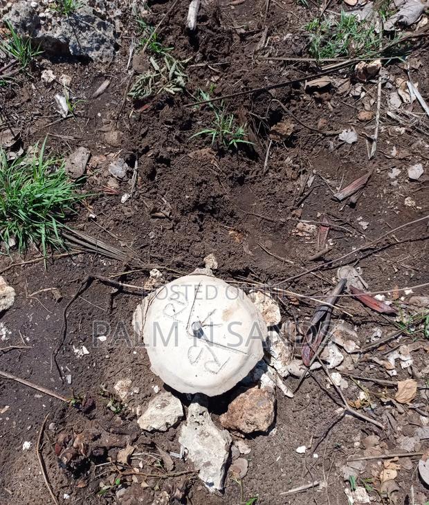 3 Acres in Galu Diani on Sale - thumbnail 8