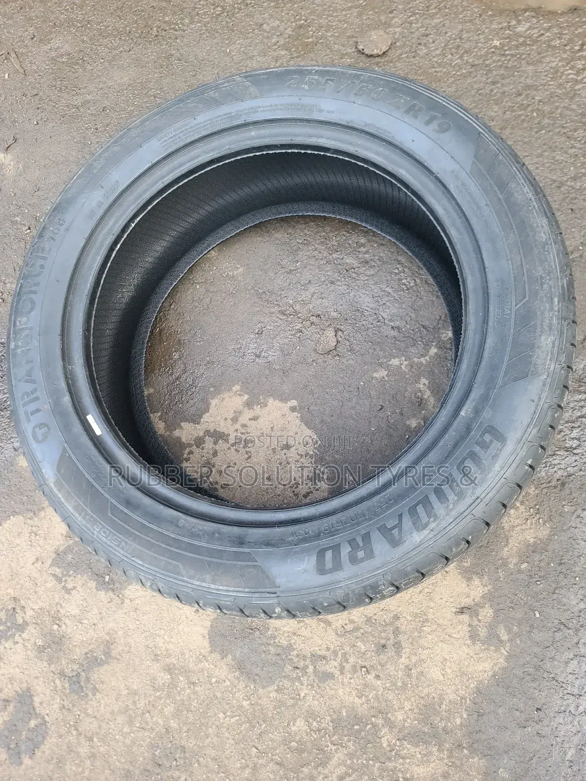255 /50 R19 Goddard Tyres 103w Transforce 768
