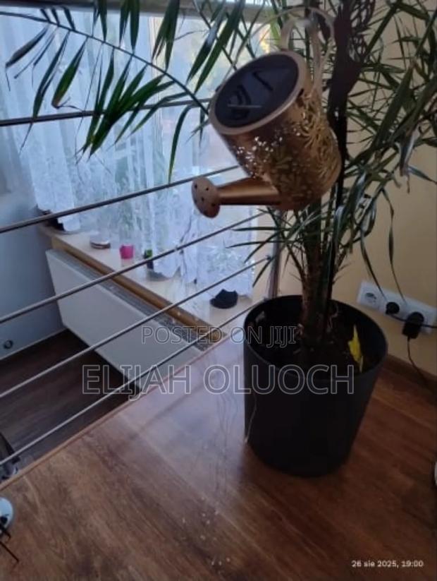Solar Watering Can Light With Shepherd Hook - thumbnail 4