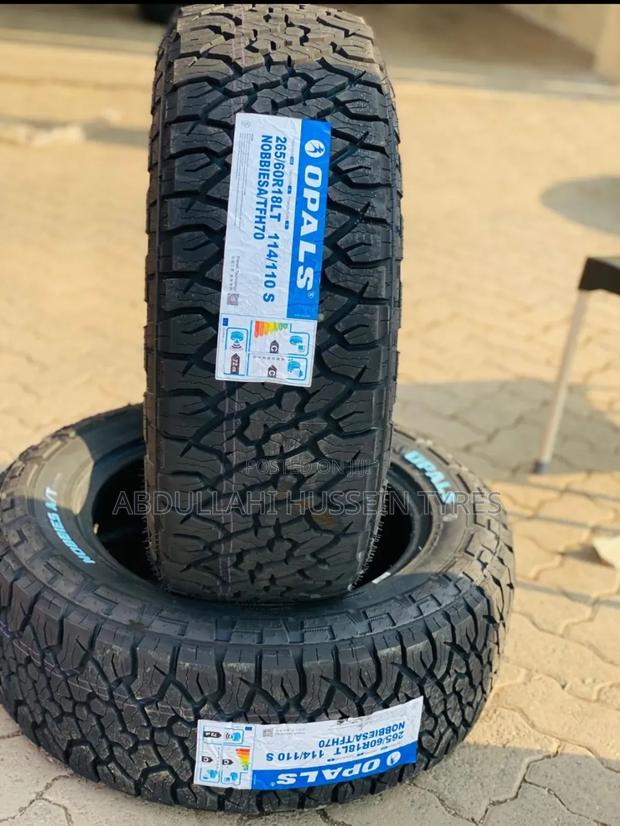 265/60 R18 Opalus Lt - main view