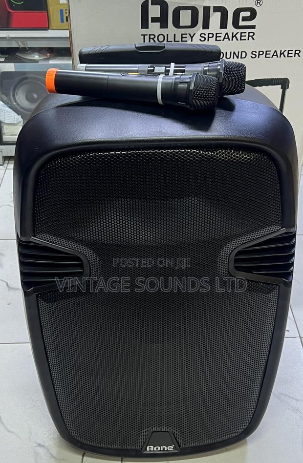 15 Inches Portable Powered Rechargeable Speaker and 2 Mics - main view