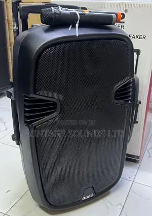 15 Inches Portable Powered Rechargeable Speaker and 2 Mics