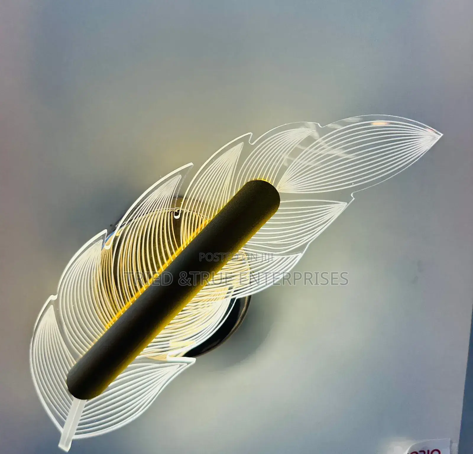 Beautiful Feather Design Modern Wall Light Jf4r