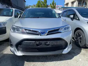 Toyota Corolla Fielder 2018 Silver