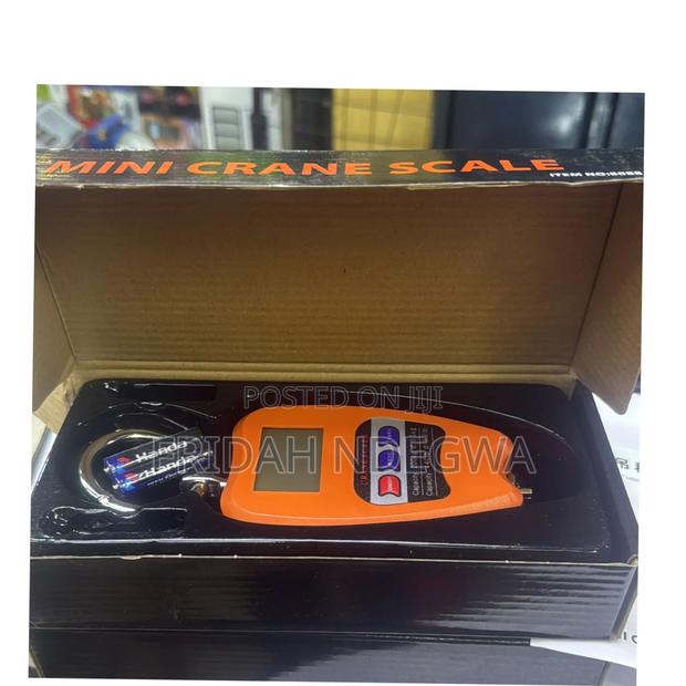 Mini Crane Scale