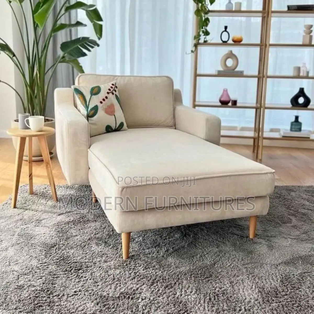 Sofa Bed/Chaise Sofa