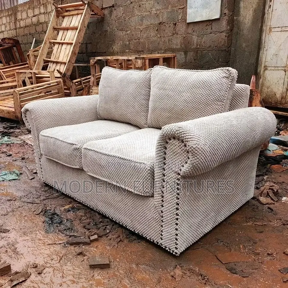 Modern 2 Seater Sofa/ 2 Seater Sofa