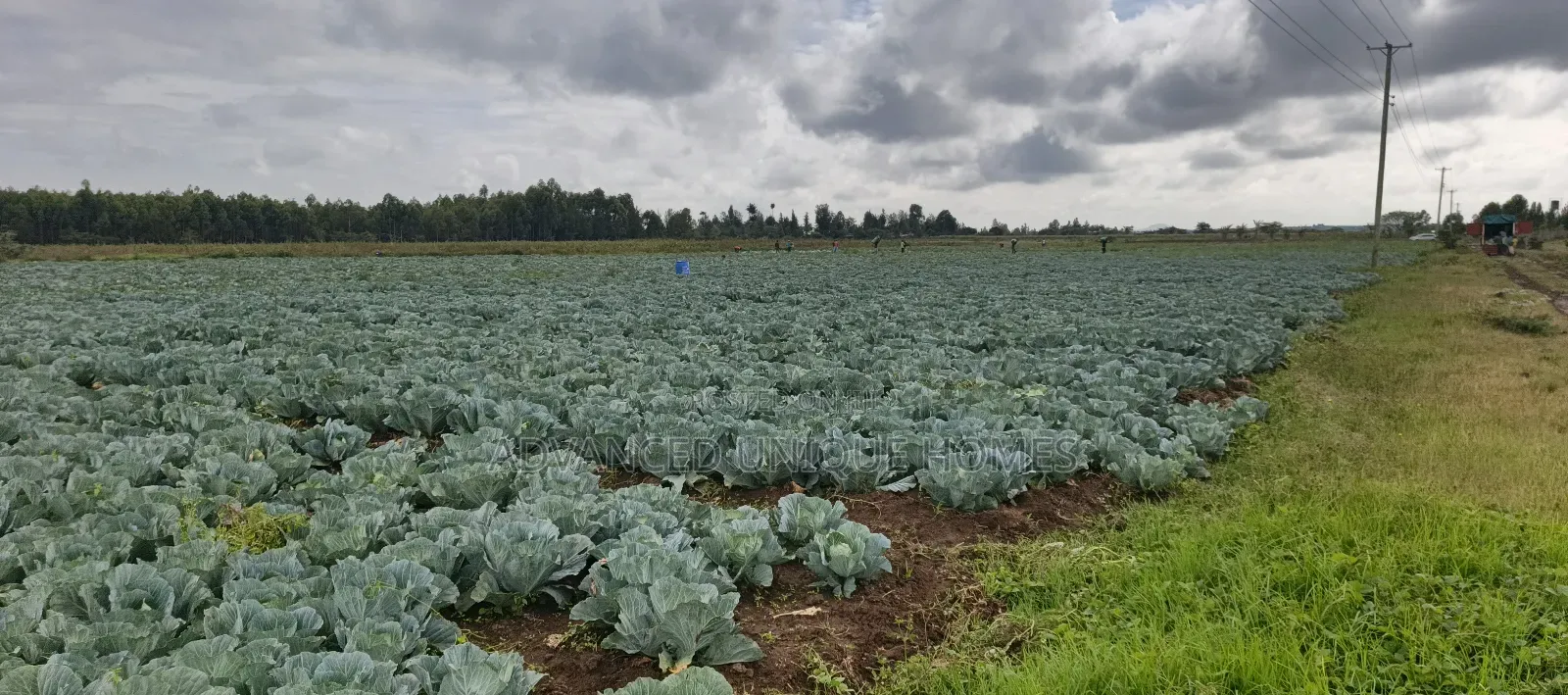 Ndaragwa 100 Acres Fully Functional Land For Sale