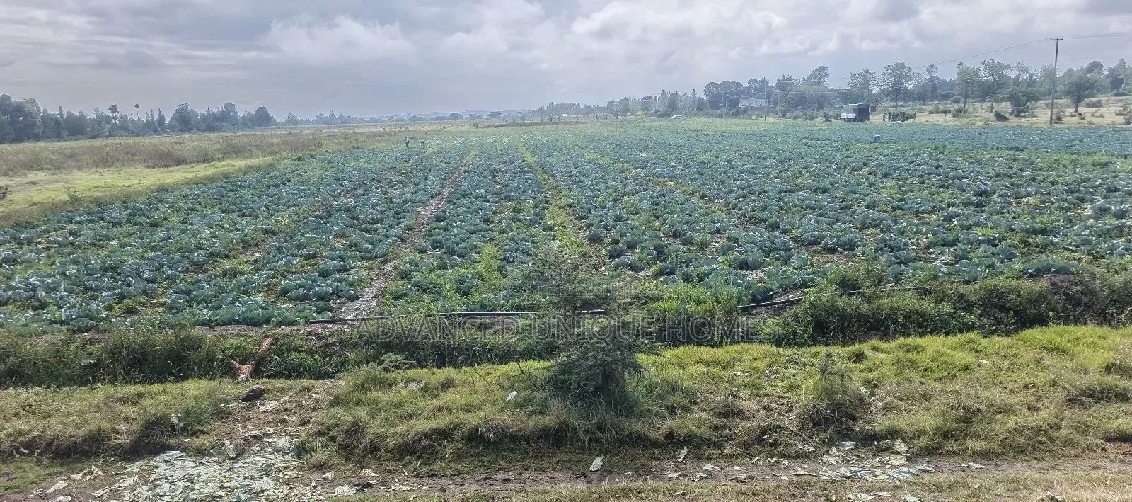 Ndaragwa 100 Acres Fully Functional Land For Sale