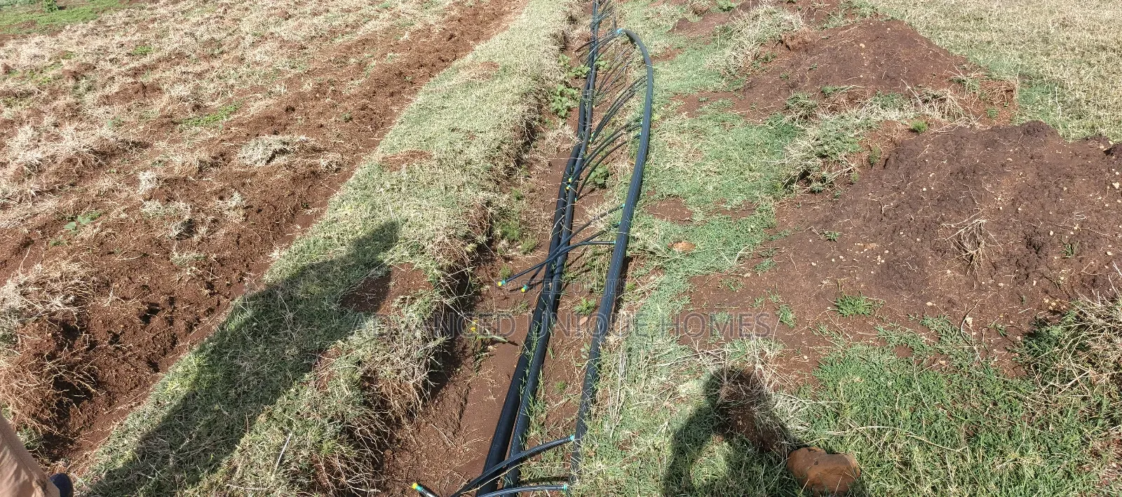Ndaragwa 100 Acres Fully Functional Land For Sale
