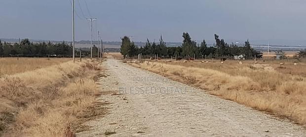 Kitengela Kag 50x100 Prime Plots - thumbnail 5