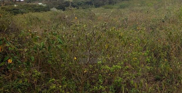 Prime Industrial Land for Sale