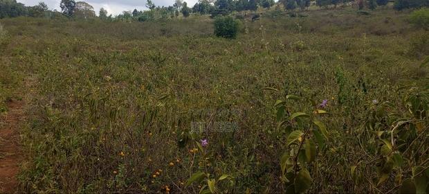 Prime Industrial Land for Sale - thumbnail 3