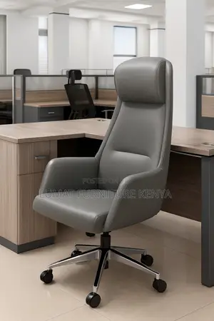 Leather Director’S Seat
