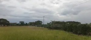 Rongai Area Nakuru 10 Acres for Sale