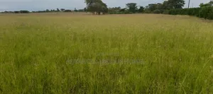 Rongai Area Nakuru 10 Acres for Sale