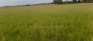 Rongai Area Nakuru 10 Acres for Sale